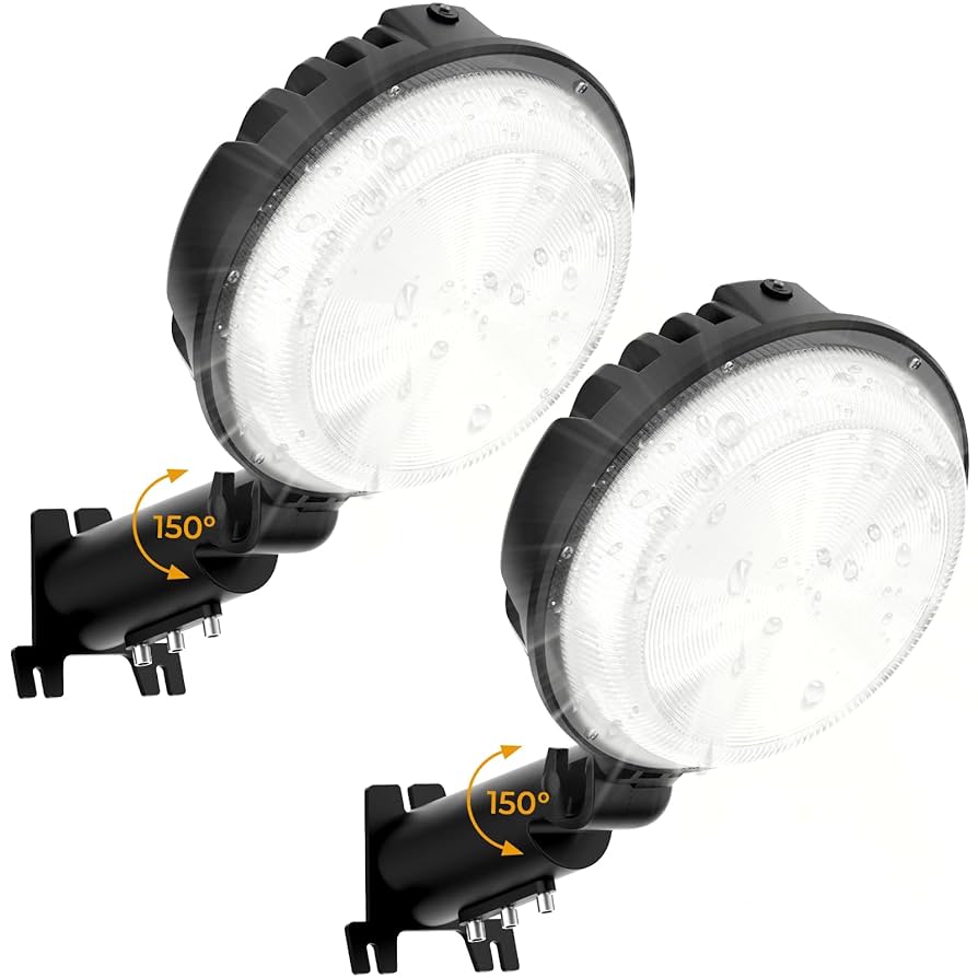 011Artistic D-light　150 011 Artistic
